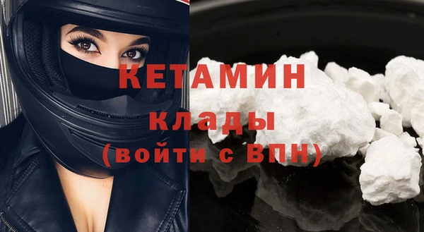 прущая мука Дмитриев