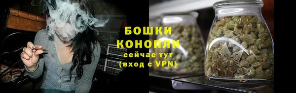 винт Дмитров