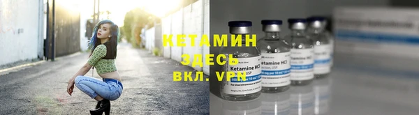 прущая мука Дмитриев