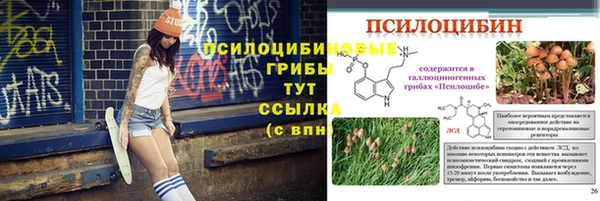 прущая мука Дмитриев