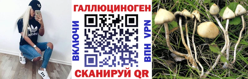 Псилоцибиновые грибы прущие грибы  нарко площадка формула  Кадников 