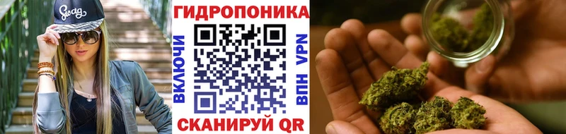 Шишки марихуана индика  Кадников 